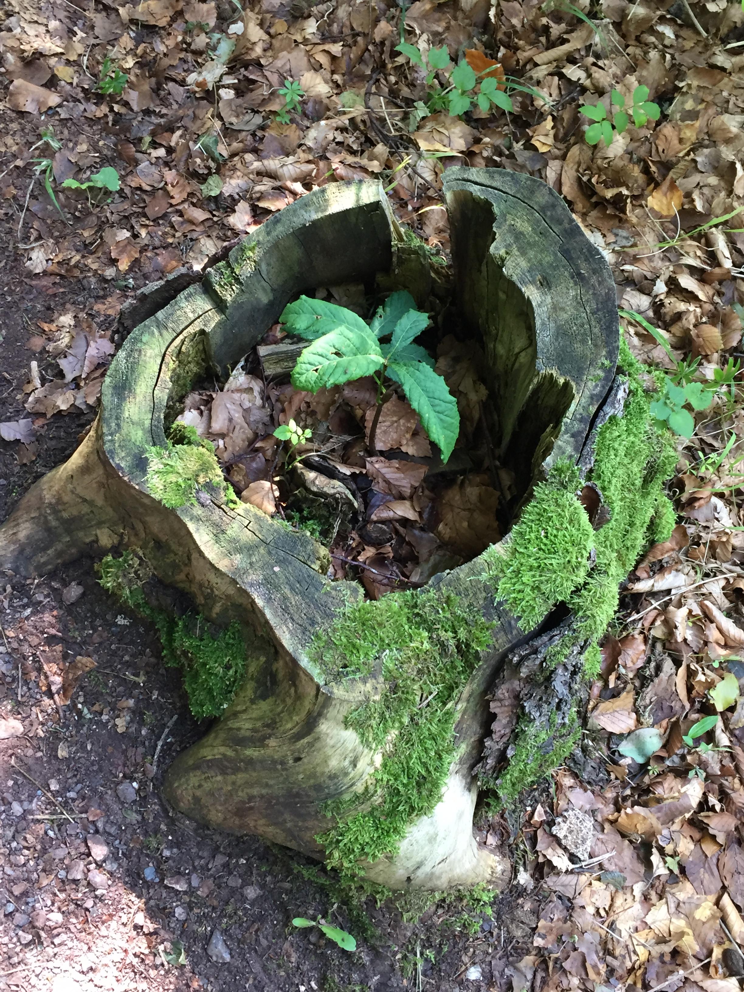 Loslassen und neu anfangen