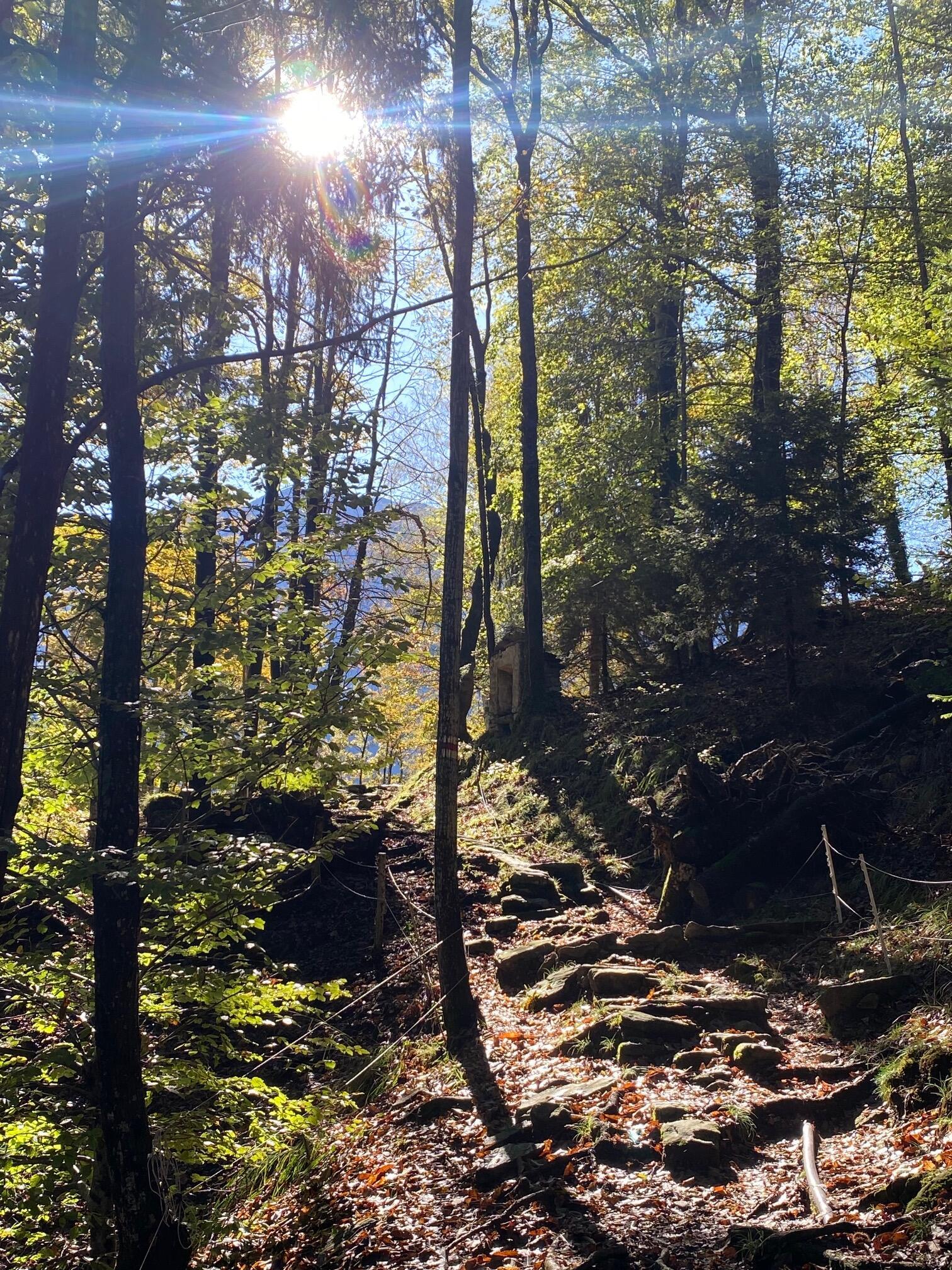 Herbsttag im Tessin